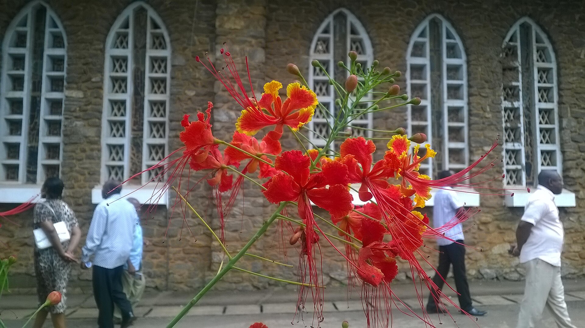 Cathedrale Notre Dame des Victoires Yaounde